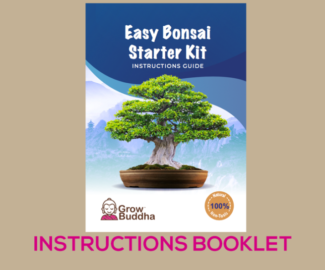 Bonsai Tutorials Grow Buddha