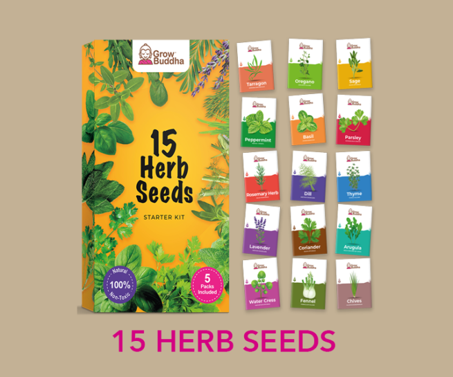 Bonsai Tutorials Grow Buddha